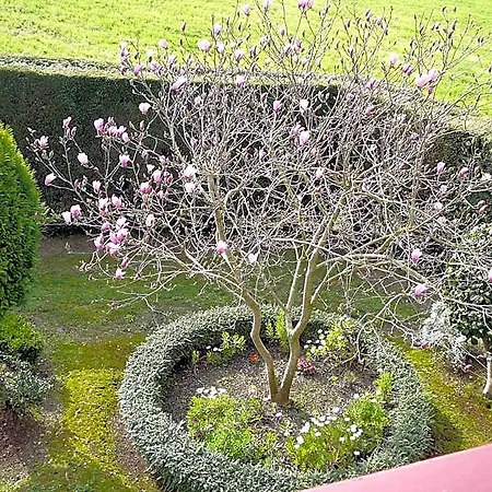El Pinar *