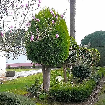 Hotel El Pinar Villapedre