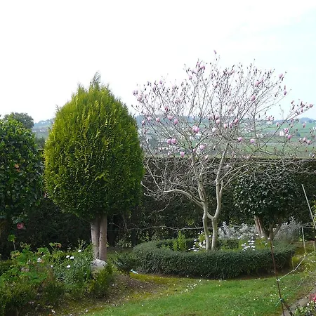 Hotel El Pinar Villapedre