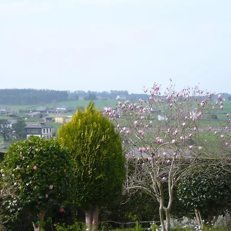 El Pinar