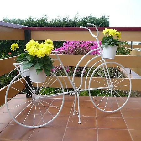 El Pinar