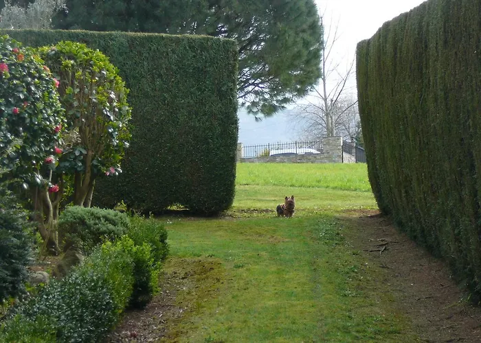 El Pinar * Villapedre